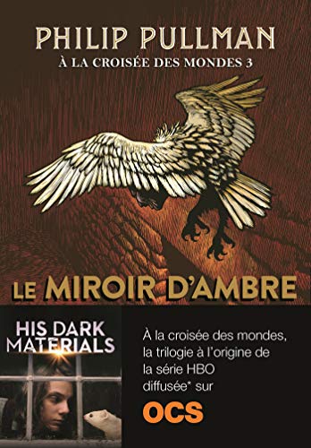 Télécharger À la croisée des mondes (Tome 3) - Le miroir d'ambre PDF