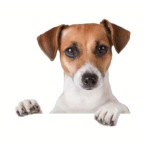 fJ[ ԗpfJ[  XebJ[ 15cm o Ђ   V[ pXebJ[ rj[ h 킢 Ck t2729