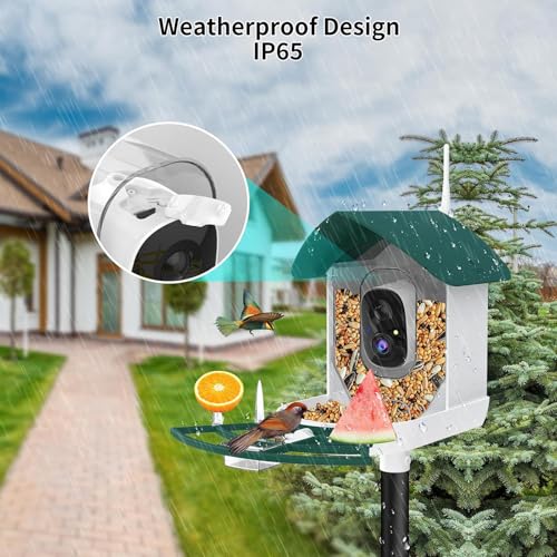 Image of Fazoxo Bird Feeder with Camera,Birds House Camera,Solar Powered,AI Bird ID