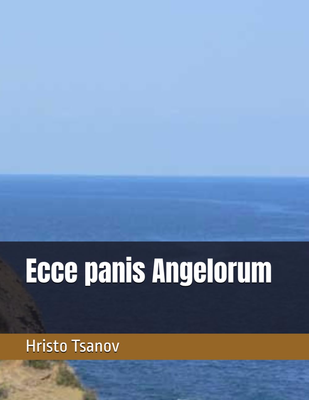 Ecce panis Angelorum hosties sans effritement pour faciliter la sainte communion