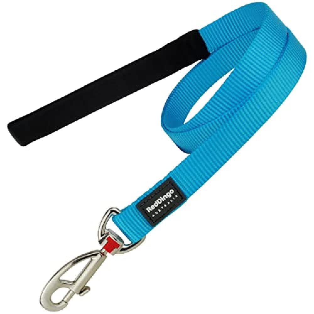 Red Dingo - Correa lisa en color turquesa