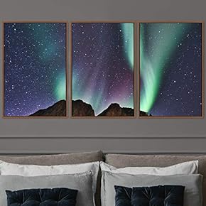 signwin 3 Piece Framed Canvas Wall Art Astronomy...