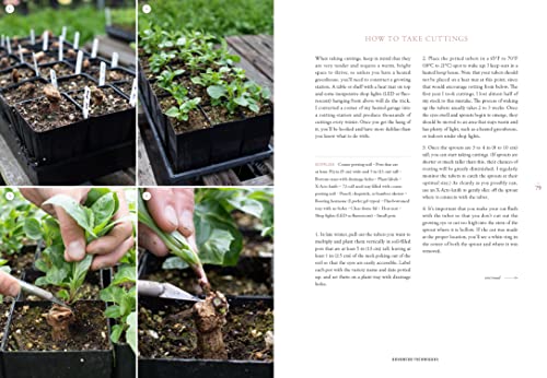 Floret Farm's Discovering Dahlias: A Guide to Growing and Arranging Magnificent Blooms (Floret Farms x Chronicle Books) - Image 10