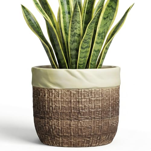Teagas Ceramic Pots for Plants, 8 Inch Plant Pot, Round Planters, Brown
