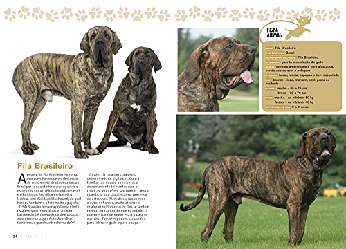 A Enciclopédia Ilustrada de Raças de Cães - Volume 3: Um guia visual de A a Z com 176 Raças para voc