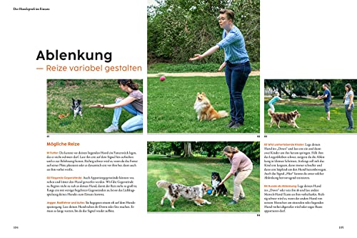 Hundetraining mit Martin Rütter: verständlich, partnerschaftlich, individuell