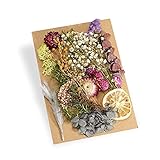 Sie können diese bunten echten getrockneten Blumen für verschiedene DIY-Projekte verwenden, Grußkarten, Fotorahmen, Kerzen, Scrapbooks und Harz-Schmuckhandwerk (z. B. Armbänder, Ohrringe, Halsketten usw.), oder Sie können sich für ein Gesichtsmake-up beantragen, dannein Foto-Prop.