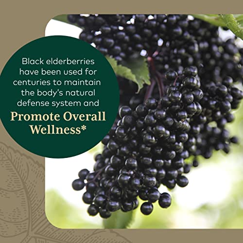 Gaia Pro Black Elderberry Pro #TOP4