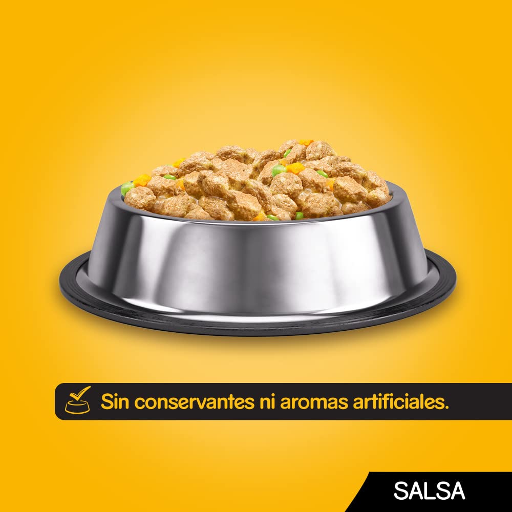 Pedigree Comida húmeda para perros sabores mixtos en salsa, paquete múltiple (4 paquete x 12 bolsas x 100 g)