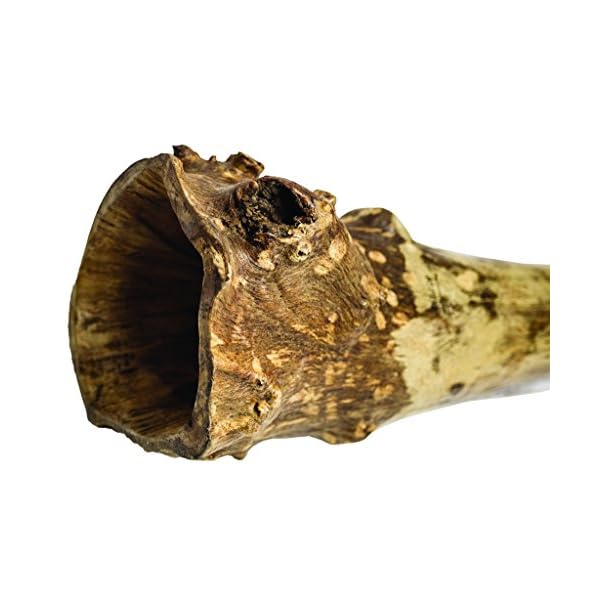 Handmade Didgeridoo Eucalyptus (Root) Ethnica Instruments
