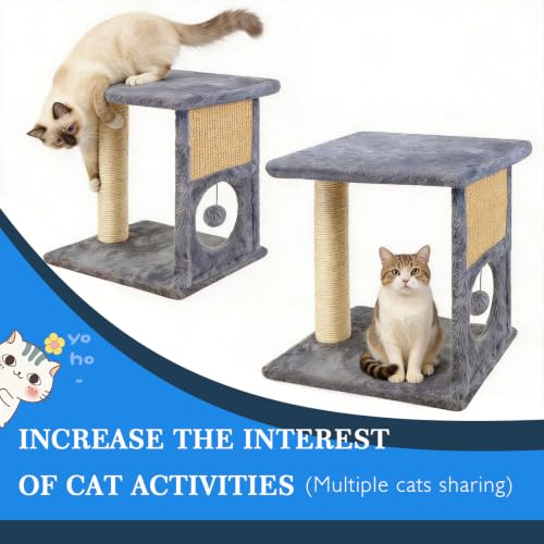 Rascador torre para gatos pequeños interior miniatura 5