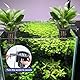 KeaJuidy 4 Stück Aquarium Pflanzenhalter Pflanzenständer Aquaponic Pflanzenkultur Hängender Halterung für Wasserpflanzen Pflanzenaufhänger Aquarium Dekoration