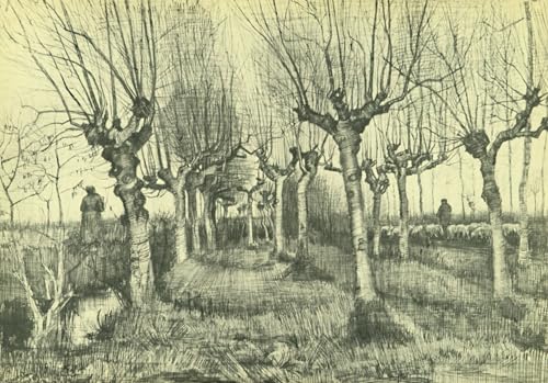 Affiche Bouleaux Pollard Van Gogh pour une ambiance artistique et poétique