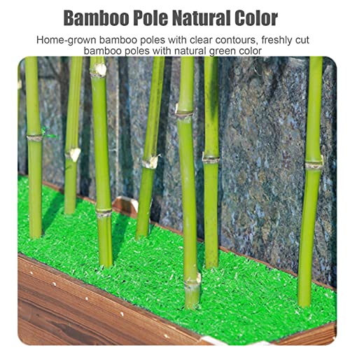 Amazon.de: CVERTHAF Knstlicher Bambus-Seidenbaum fr Balkon, Garten,  Terrasse, Raumteiler, Restaurant-Trennwand, Eingangsschirm, Hotel-Absperrung,  grn (Bambusstange 1,5 m, Gre 1,2 m, Basis 20 Stangen)