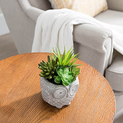 "Favrd" Artificial Succulents In Cement Pot Environmentally Conscious Partly Recycled Fake Plants Artificial Plants Indoor Home Office Decor Desk Faux Plants, 6.25 X 6.25 X 8 Inches #TOP4