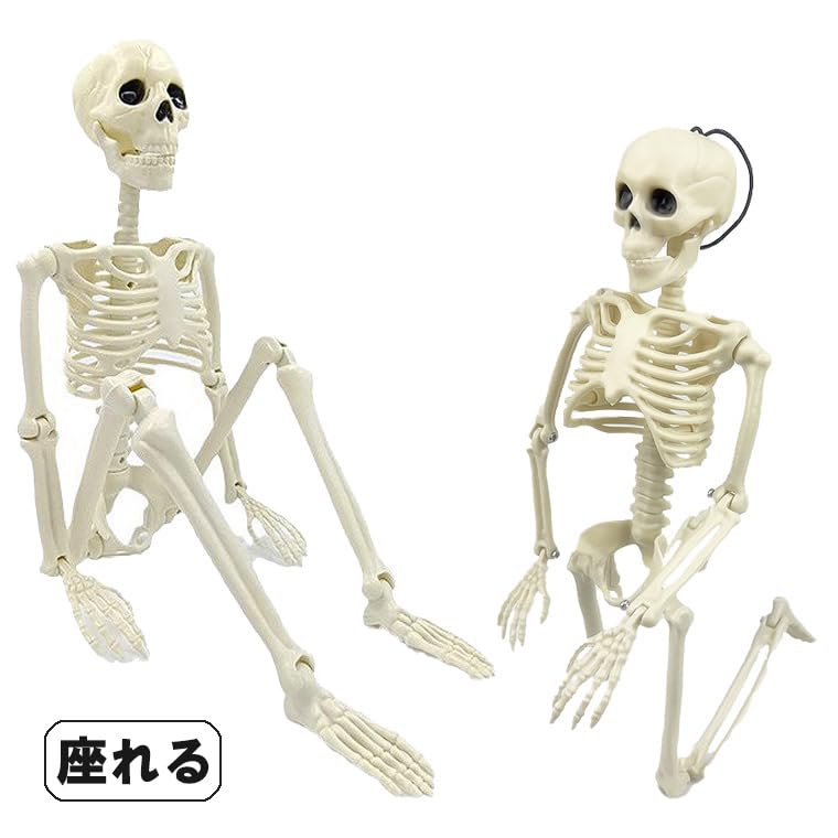 Amazon.co.jp: バラエティ本舗 骸骨 ガイコツ スカル ドクロ