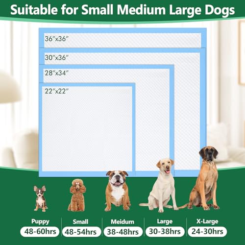Image of Gimars XXL Thicken 6 Layers Ultra Absorbent Dog Pee Pads Extra Large Leak-Proof Odor-Control Puppy Training Pads Quick Dry Pee Pads for Dogs Cats Pets