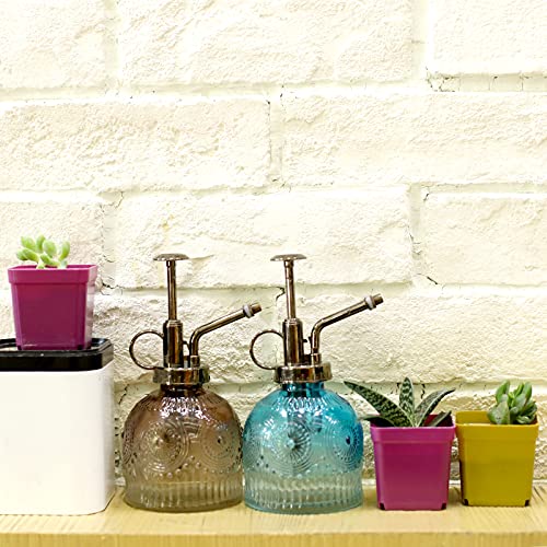 Hniuyun Glass Plant Mister Spray Bottle, 6.3Inch Tall Vintage Plant Spritzer Watering Can, Succulent Watering Bottle With Bronze Plastic Top Pump, Watering Garden Tool (Blue White Gradient) #TOP2