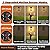 Motion Sensor Outdoor Lights Fixture, Dusk to Dawn Exterior Porch Light Wall Mount with Water-Rippled Glass, Black Modern Outside Wall Sconce Lanterns for House, Garage, Patio, Bulbs Not Included
