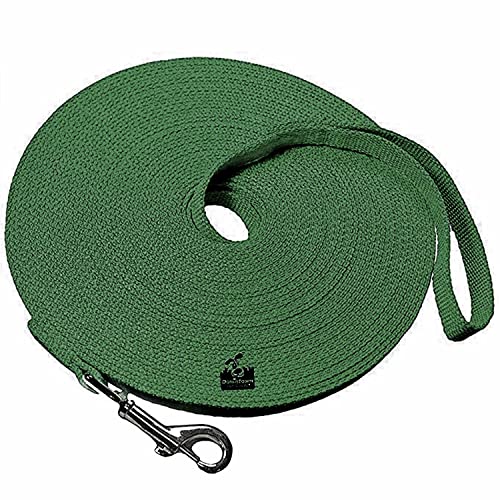 Downtown Pet Supply Dog/Puppy Obedience Long Recall Training Agility Lead Leash - Perfect for Pet Behavior Training, Multiple Sizes (100 Foot, Hunter Green)