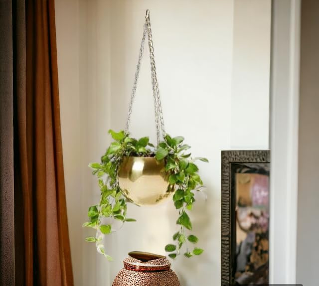 Hanging Pots Round Planter for Home & Balcony Garden, Geometric Designer Hanging Planter Flower Vases & Flower Pot for Home Decoration Indoor Living Room Balcony Patio Garden Home Decoration (B0CR49WS5L) Amazon Price History, Amazon Price Tracker