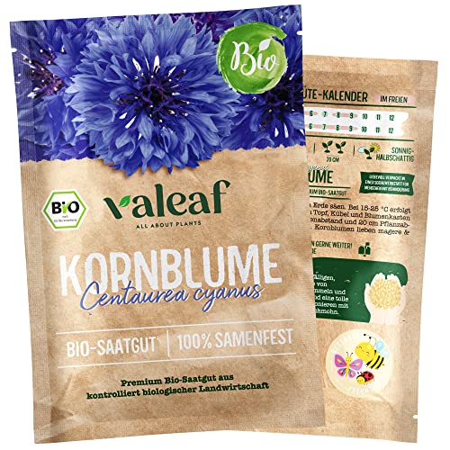 BIO Kornblumen Samen (Blau) - Samenfestes Bio-Saatgut für Garten Balkonkasten & bunte Wildblumenwiese