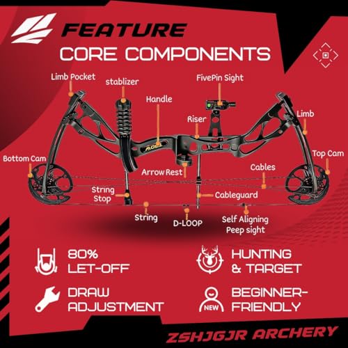 ZSHJGJR Compoundbogen Set 0-70lbs Verstellbarer Rechtshänder Bogen - 325 FPS IBO Geschwindigkeit - Komplettes Archery-Set mit Pfeilen, Koffer und Zubehör (Set 1)
