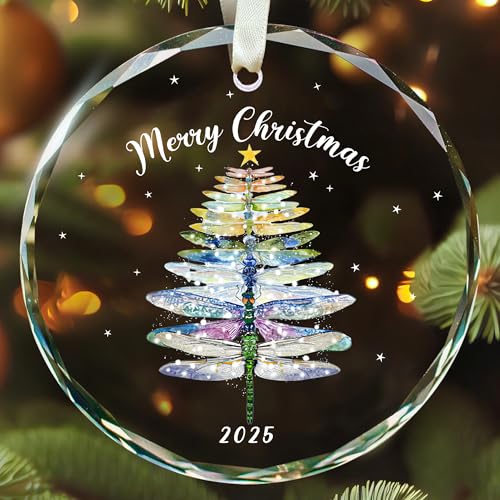 TEEBIM Dragonfly Ornament - Dragonfly Christmas Ornaments, Dragon Fly Ornaments for Christmas Tree - Dragonflies Gifts, Dragonflies Gifts for Women Men - Glass Ornament