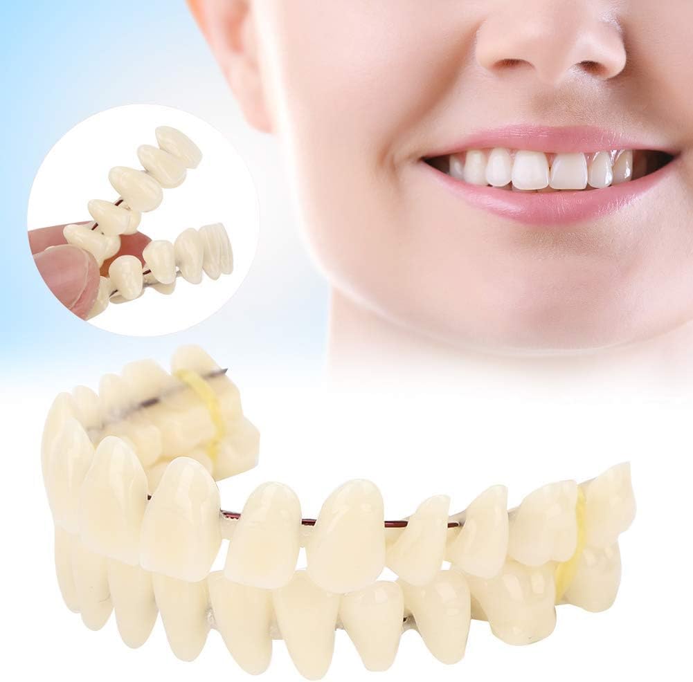 Dentaduras postizas de 10 Piezas de Resina Modelo de enseñanza de Dientes postizos Modelo Dental estándar Material didáctico Modelo de Diente de demostración estándar para Adultos