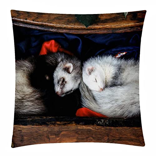 Tbouobt Set Of 2 Decorative Throw Pillow Covers Cushion Cover For Sofa Bedroom Car, Animal Three Minks #TOP1