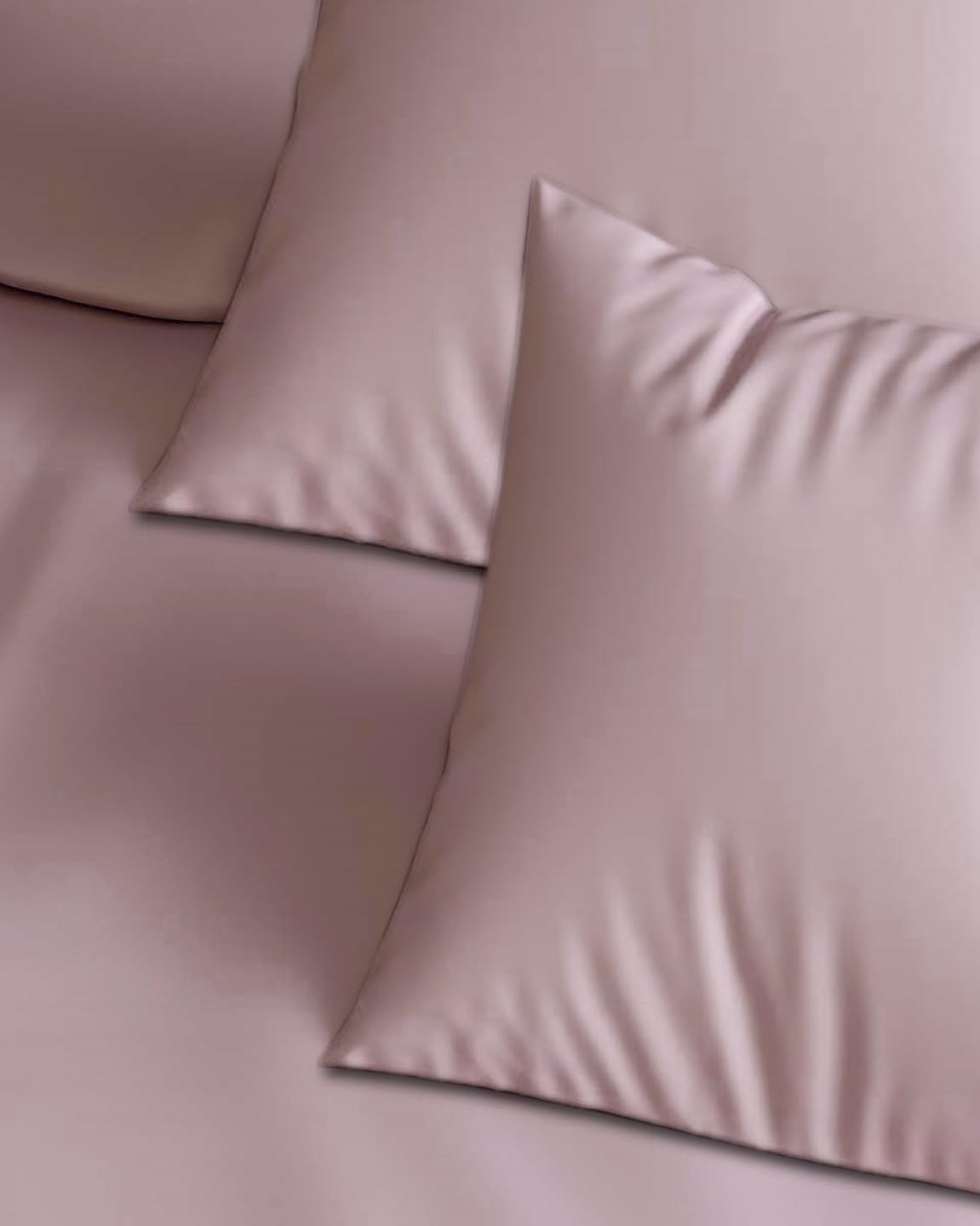 Cameo Rose Cotton Pillow Covers - Set of 2 -3