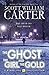The Ghost, the Girl, and the Gold (A Myron Vale Investigation Book 3)