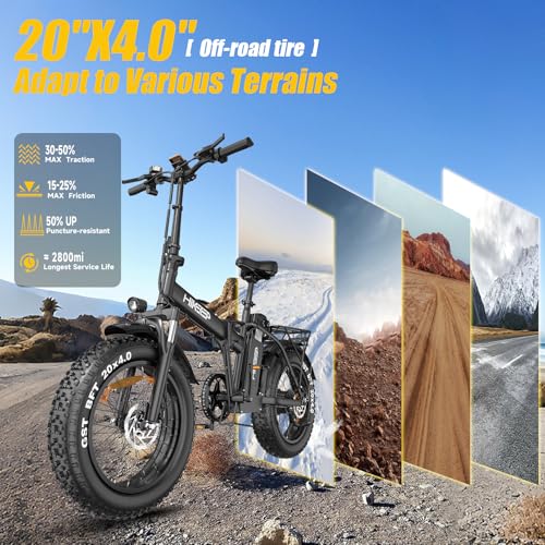 48/52V 15.6/25/40AH Fat Tire Electric Bike for Adults,