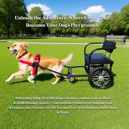 DWZL Hundezugwagen mit Sitz und abnehmbarem Anhänger - Für Hunde von 10 bis 60 kg (22 bis 132 lb) - Mit Zuggurt, 14 Zoll (36 cm) All-Terrain-Reifen + Fußbremse(Size:Dog Weight 40-60kg)
