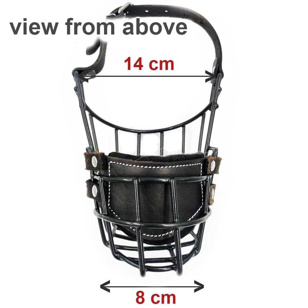 Bozal de Metal para Perro #37 para Amstaff y Pit Bull - Cesta de Alambre recubierta de plástico para Calavera Ancha - Correas de Cuero Transpirables y Ajustables