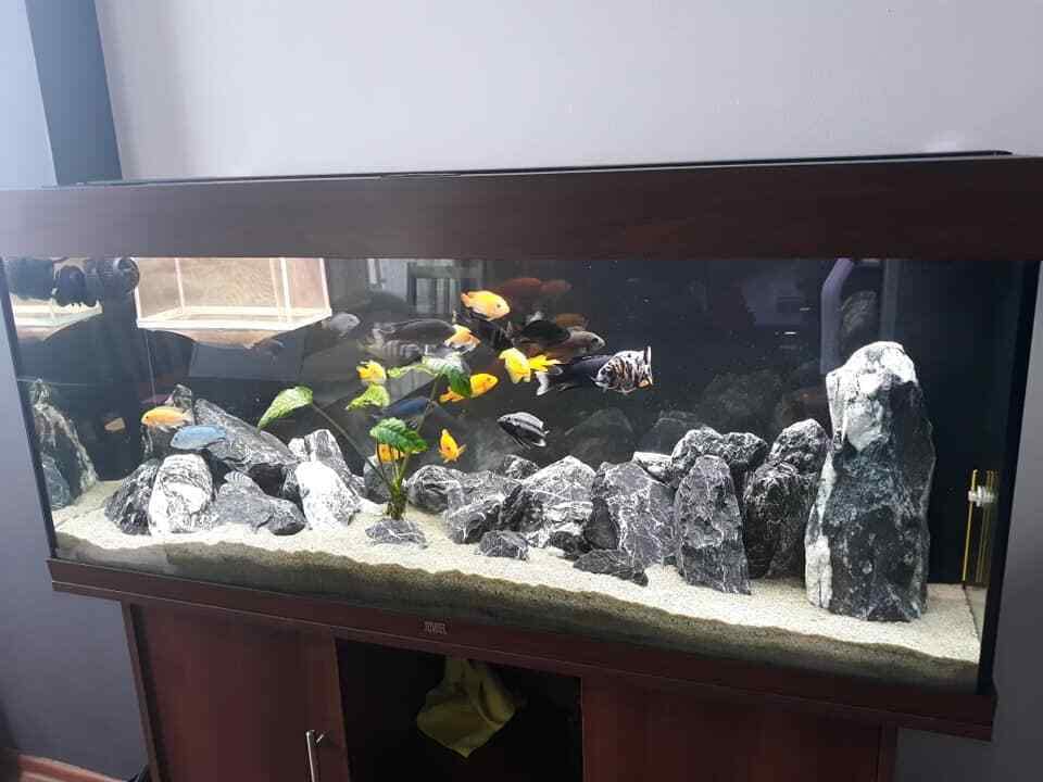 View 6