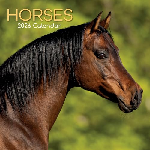 TGSC | Horses 2026 Calendar 16 Month (Sept 2025-Dec 2026) Family Square Wall Calendar 2026 UK | Planner with Large Grid for Home or Office Organisation - Animals 2026/2025 Calendar UK