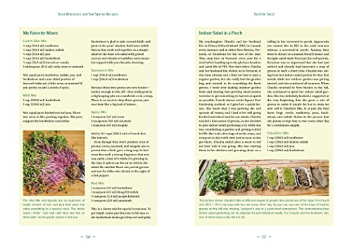 Year-Round Indoor Salad Gardening: How to Grow