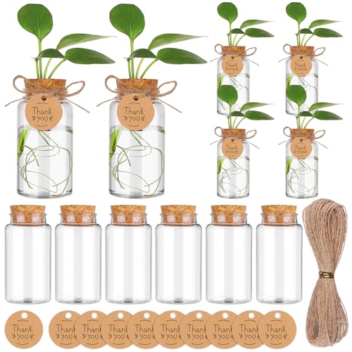 YXSJAS 12 Packs Propagation Stations Desktop Plant Hydroponic Containers with Wooden Hole Lid Clear Propagation Plastic Jars with Thank You Tags for Office Decoration Outdoor Landscape Design
