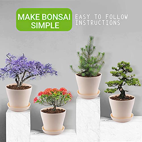 ConpConp Kruid Tuinieren Kits, Bonsai Tree KIT, Starter Grow Plant Kit, Sets Inclusief 4 Verdikte pp Bloempot met… - Afbeelding 3