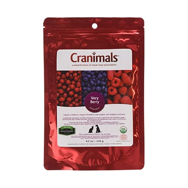 Cranimals Very Berry Antioxidant Superfood Berry Powder for Dogs and Cats - Natural Antioxidant Boost from Cranberries, Raspberries, and Blueberries, 120 g/ 4.2 Oz Bag