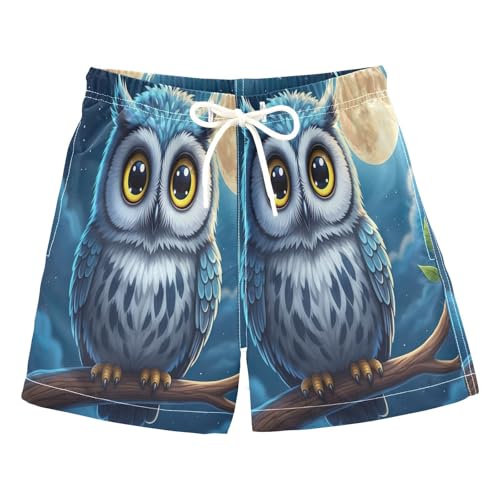 Swim Boy Shorts, Toddler Boy Swim 2t, Cute Owl Moon Light Blue