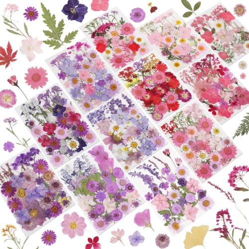 Image of NESCCI 412 Pcs Purple Pink Dried Flowers for Crafts,Real Nature Dried Flowers for Craft Bulk Dry Flowers Leaves Kit Used for Resin Molds Scrapbooking DIY Art Crafts Candle Soap Making Nails Decor