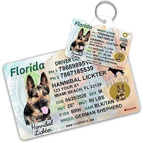 Florida Driver License Custom Dog Tag for Pets and Wallet Card - Personalized Pet ID Tags - Dog Tags for Dogs - Dog ID Tag - Personalized Dog ID Tags - Cat ID Tags - Pet ID Tags for Cats Cover