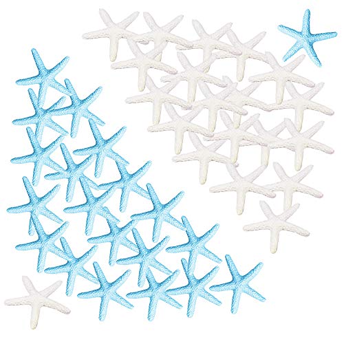 Aweisile 40 pezzi Stelle Marine per decorazioni Finger Starfish Decorative Stelle Marine in resina per Decorazioni di Matrimoni Home Decor la casa Natale Feste e Progetto Artigianale progetti creativi