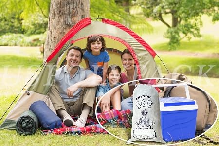 Miniatura 3 de Bolsas de hielo con cordón de alta resistencia de grado comercial (paquete 500 de 10 libras)