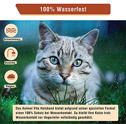 Animal Vita® Katzen Zeckenhalsband [100% natürliche Inhaltsstoffe] - effektiver Schutz vor Ungeziefer - Flohhalsband, wasserfest, zuverlässiger Schutz vor Zecken und Ungeziefern