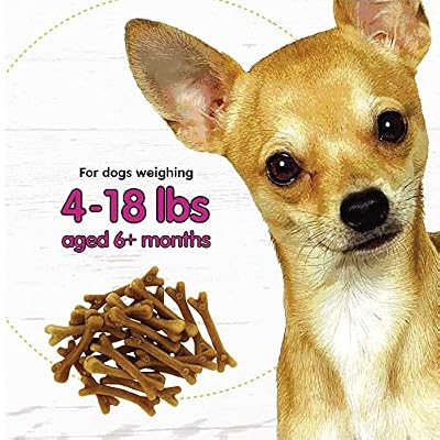 Fido - Belly Bones for Dogs, Yogurt Flavored Mini Dog Dental Treats - 21 Treats Per Pack, 3 Pack - for Small Dogs, Made in USA, Plaque & Tartar Control, Fresh Breath, Digestive Health Support