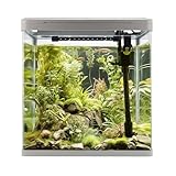 aquarienfische ABMESSUNGEN & KAPAZITÄT: Dieses Aquarium im Format 38x24x43 cm bietet großzügige 30 Liter Volumen. Perfekt für Ihre individuellen Aquarienansprüche.