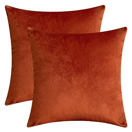 Rythome Set of 2 Comfortable Velvet Throw Pillow Cases Decorative Solid Cushion Covers for Sofa Couch and Bed - 18"x18", Rust